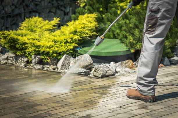 Best Vinyl Siding Pressure Washing in Bellevue, IA