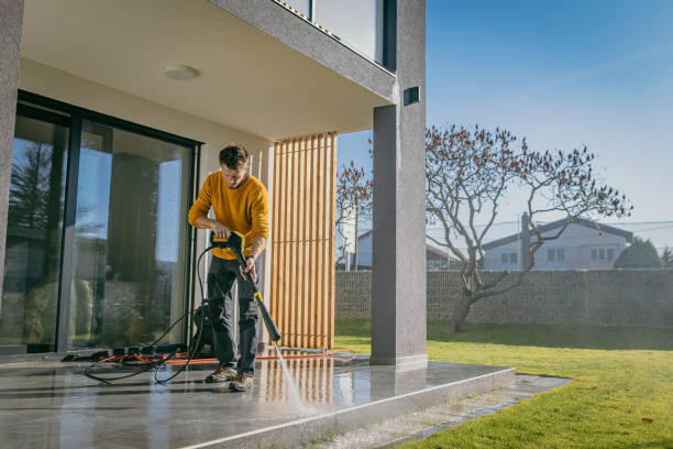 Best Fence Cleaning and Maintenance in Bellevue, IA
