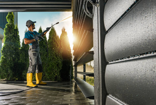 Best Soft Washing for Delicate Surfaces in Bellevue, IA