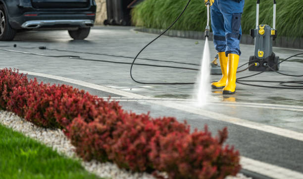 Best Driveway Cleaning and Restoration in Bellevue, IA